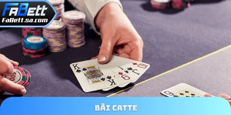 Bài catte