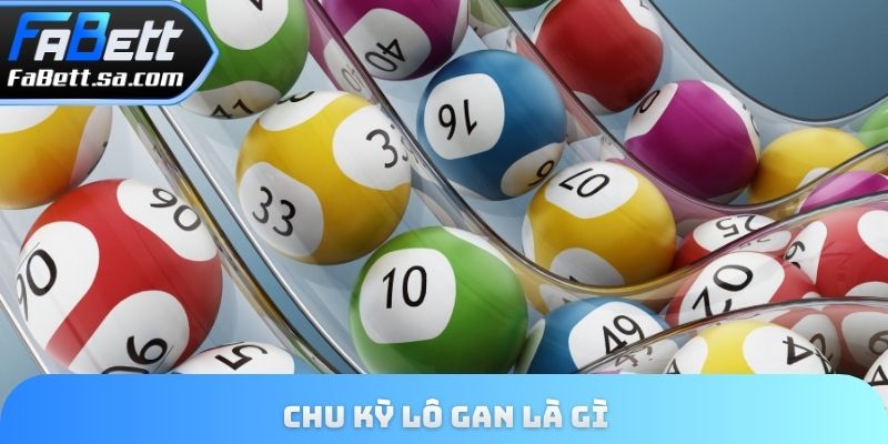 Chu kỳ lô gan là gì