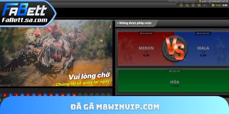 Đá gà m8winvip.com