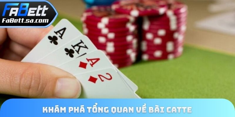 Khám phá tổng quan về bài catte 