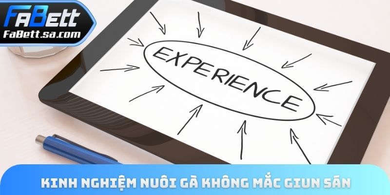 Kinh nghiệm để nuôi gà chọi không mắc giun sán