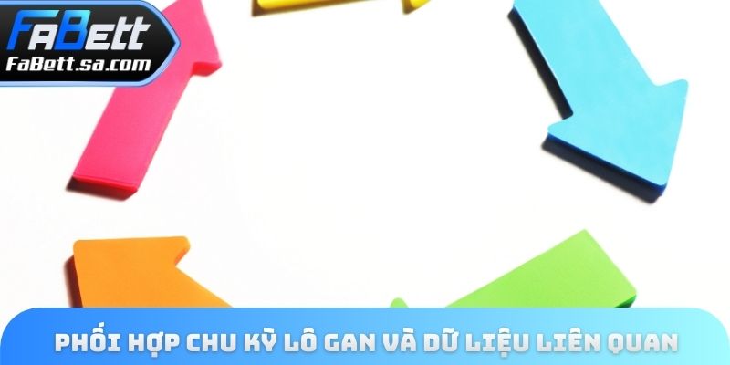 Phối hợp chu kỳ lô gan và dữ liệu liên quan